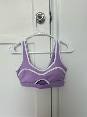 Beach Riot Purple Sports Bra